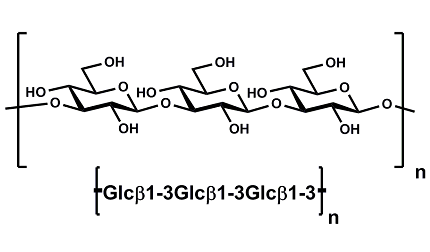 Beta-D-Glucans