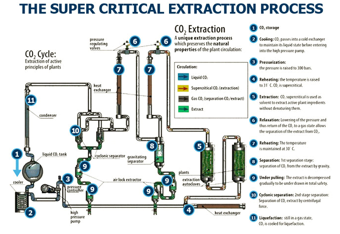 Extraction Process