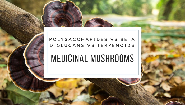 Medicinal Mushrooms Polysaccharides vs Beta D-Glucans vs Terpenoids