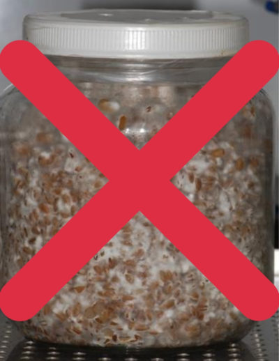 avoid mycelium